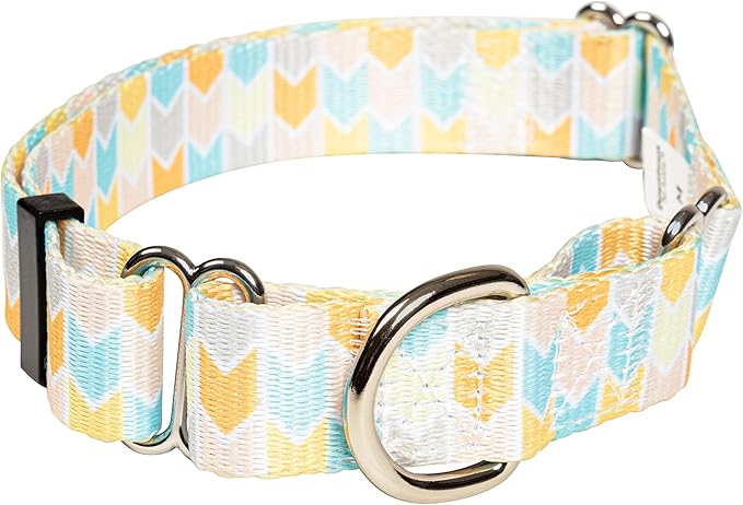 Downtown Pet Supply - Martingale Collar for Dogs - Dog Training Collar - Big, Wide & Thick Dog Collar - Escape-Proof, Weatherproof, Durable and Comfortable - Chevron - Medium Dog Collar