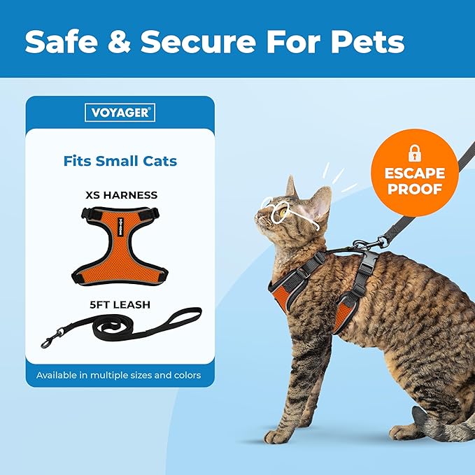 Voyager Escape Proof Cat Harness and Leash Set with Reflective Stitching, Neoprene Handle 5ft - Supports Small, Medium and Large Cats, Kittens for Walking by Best Pet Supplies - Black Trim-Orange, XS