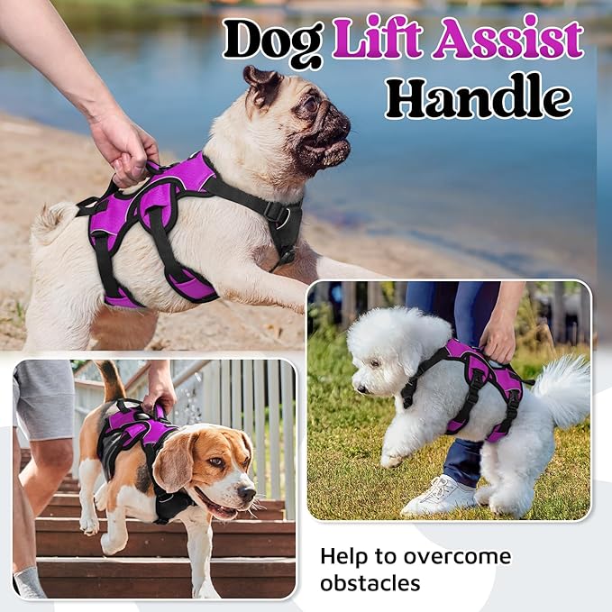 rabbitgoo Escape Proof Dog Harness, Soft Padded Full Body Pet Harness, Reflective Adjustable No Pull Vest with Lift Handle and Lesh Clip for Large Dogs Walking Hiking Training, S, Purple