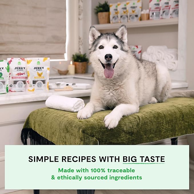 Open Farm, Dog Jerky Treats, Soft & Chewy Oven-Baked Jerky Strips Made with Ethically & Sustainably Sourced Ingredients, Protein Packed Dog Treats, Grain-Free Grass-Fed Beef Recipe, 5.6oz Pouch