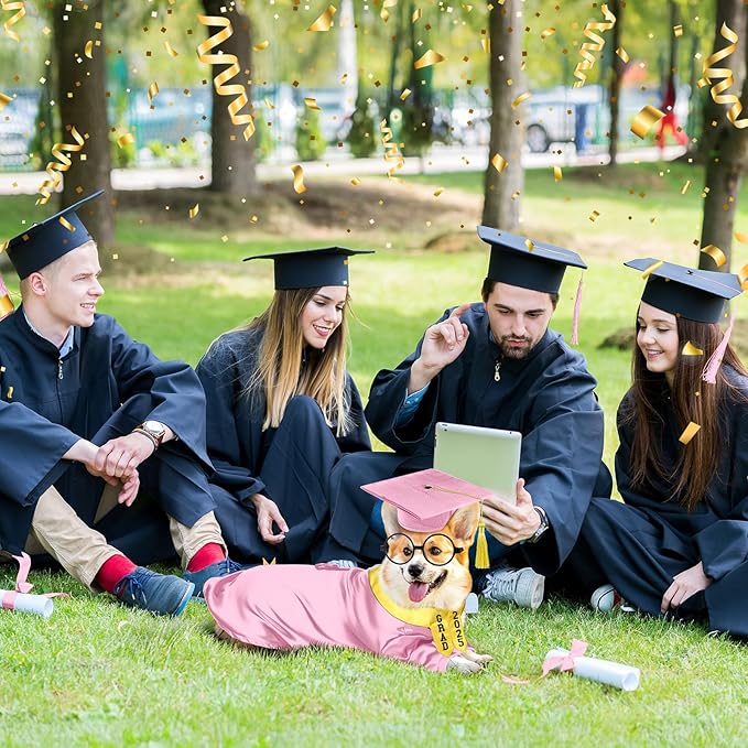 5 Pcs Dog Graduation Costume Set Include 2025 Pet Graduation Gown with Stole Puppy Grad Cap Lensless Glasses DIY Letter Stickers for Dogs Cats Holiday Costume Accessory(Pink Yellow,M)