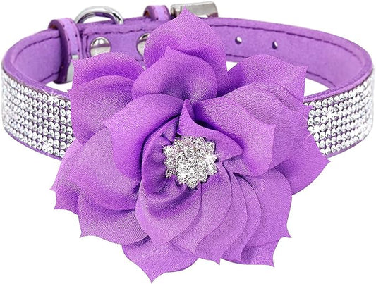 Cute Dog Collar with Bling Rhinestone, Fancy Crystal Diamond Glitter Pretty Jewel Soft Cat Collars for Small Medium Large Breed Dogs Girl Female Pet Puppy Kitten Terrier (M, Purple2)
