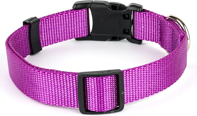 Country Brook Petz - American-Made Dog Collar for Large, Medium, and Small Dogs and Puppies - Deluxe Heavy Duty Nylon in 33 Dazzling Colors (Large, 1 Inch Wide, Bright Purple)