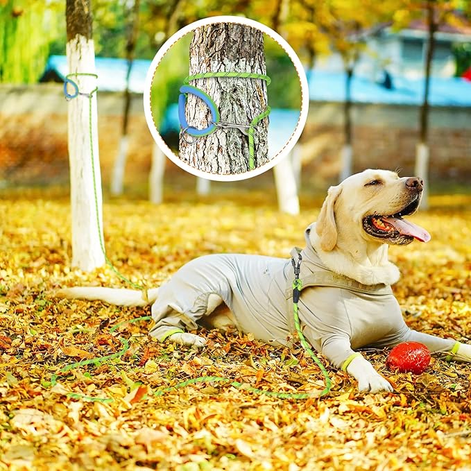 Long Dog Leash for Dog Training 10FT/15FT/20FT/30FT/40FT/50FT/100FT Reflective Leash with 2 Hooks, Heavy Duty Dogs Lead for Large Medium Small Dogs Outside Walking Camping Yard, Green 15FT