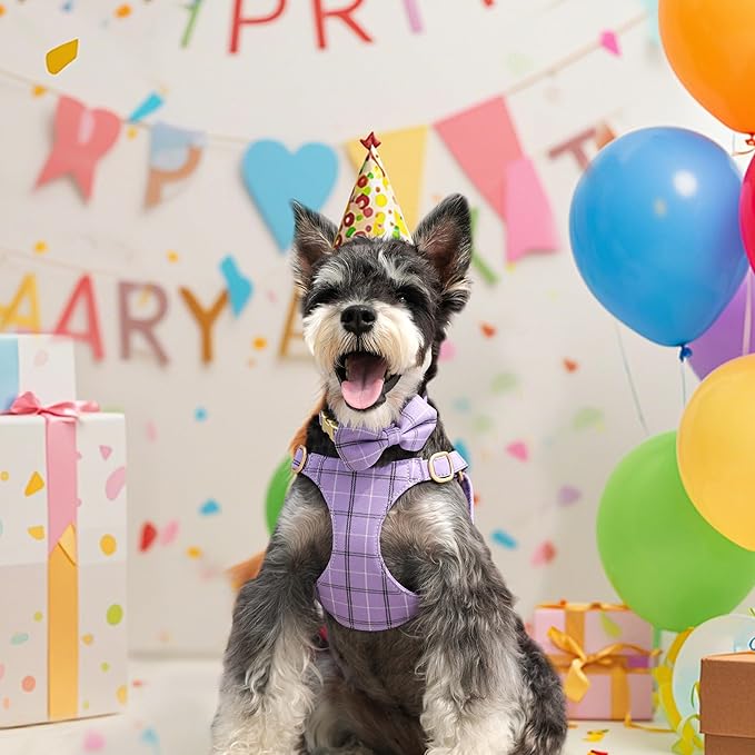 Beirui Cute Small Dog Harness Collar and Leash Set with Bowtie, Soft Adjustable Plaid Puppy Harness for Small Sized Dogs Cats Walks Parties and Photoshoots(Purple,XS:Chest 13-18")