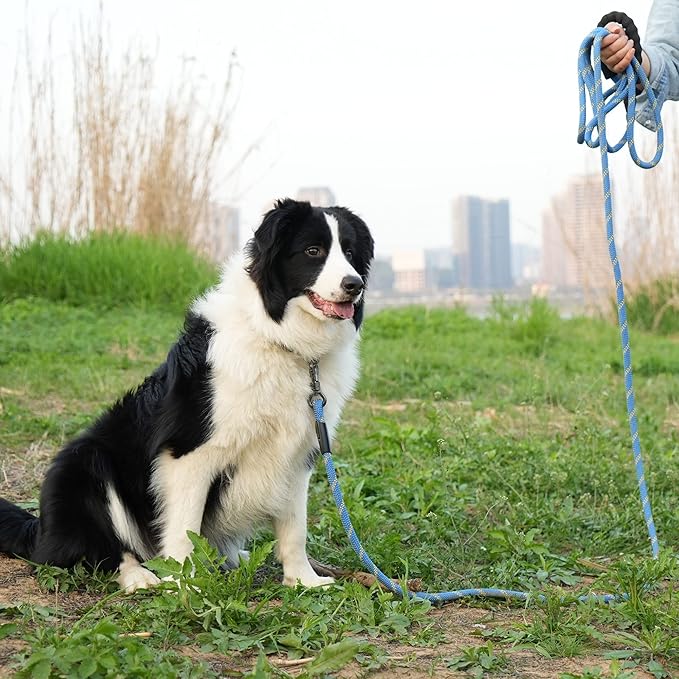 NTR 20FT Dog Leash, Blue Check Cord with Swivel Lockable Hook and Comfortable Padded Handle for Pink Leash for Small Medium and Large Dogs Walking Training Hiking Camping Playing