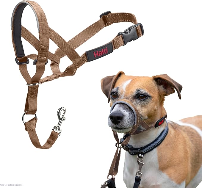 HALTI Headcollar - to Stop Your Dog Pulling on The Leash. Adjustable, Reflective and Lightweight, with Padded Nose Band. Dog Training Anti-Pull Collar for Small Dogs (Size 1, Desert Sand)