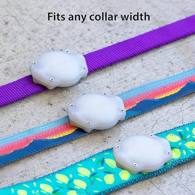 Elevation Lab TagVault AirTag Dog Collar Mount (Pack of 2), IP68 Waterproof, Doesn't Dangle, Fits All Width Collars, Elevation Lab - Glow in The Dark