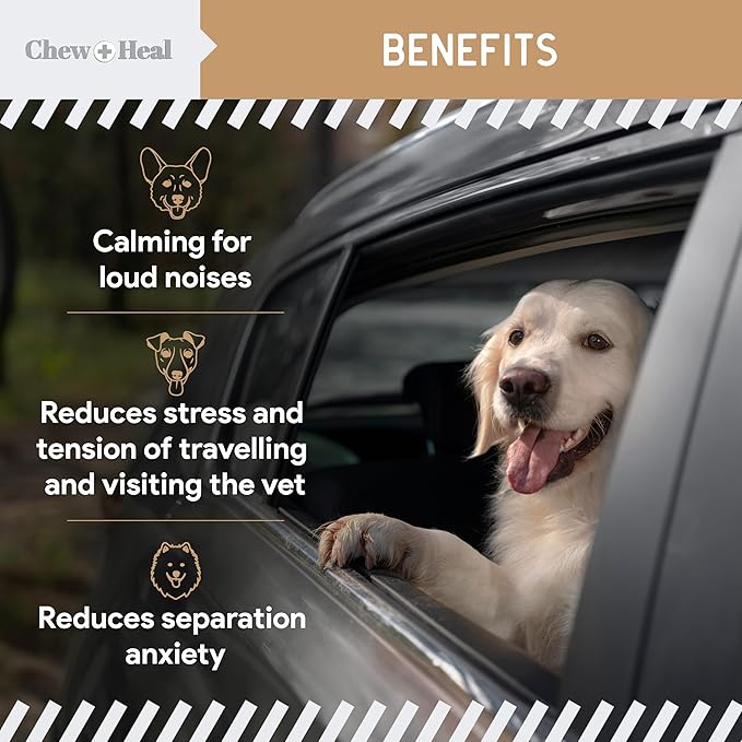 Calming Chews for Dogs - 120 Anxiety Relief Treats for Fireworks, Thunder, and Storms - Peanut Butter Flavor - Natural Dog Calming Treats with Thiamine, L-Tryptophan, Ginger, and Melatonin