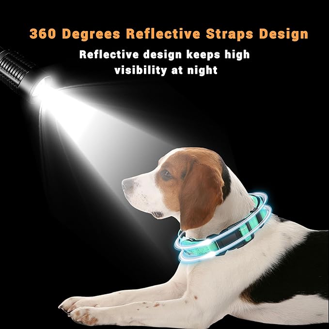 2 Pack Reflective Dog Collar with Safety Locking Buckle, Adjustable Soft Breathable Comfortable Nylon Pet Collar for Small, Medium and Large Dogs, Turquoise, XS