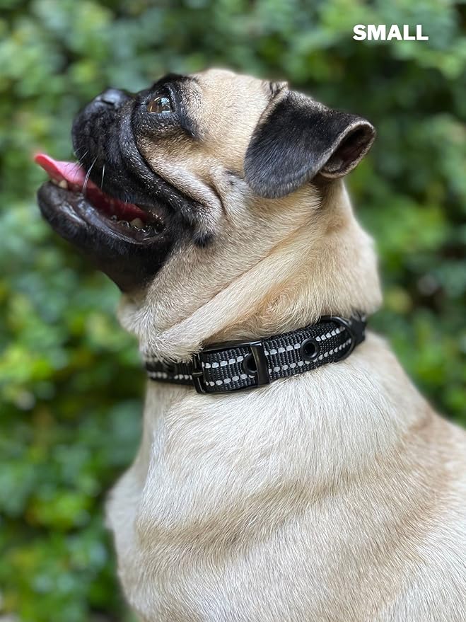 Tuff Pupper Heavy Duty Dog Collar with Handle | Ballistic Nylon Heavy Duty Collar | Padded Reflective Dog Collar with Adjustable Stainless Steel Hardware | Convenient Sizing for All Breeds