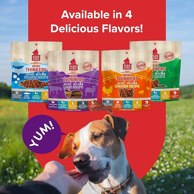 Plato Pet Treats Thinkers - Meat Stick Treats for Dogs - Limited Ingredient Dog Treats with EPA and DHA to Support Skin, Coat, and Brain - Air-Dried Dog Treats - Mini Thinkers Lamb 6oz