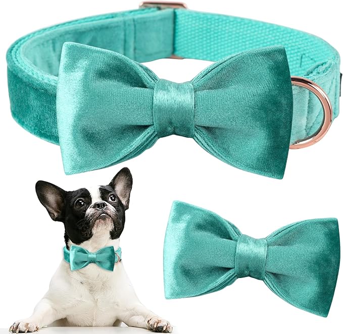 ARING PET Bowtie Dog Collar-Velvet Dog Collars with Removable Bowtie, Cute & Comfortable Dog Collar.