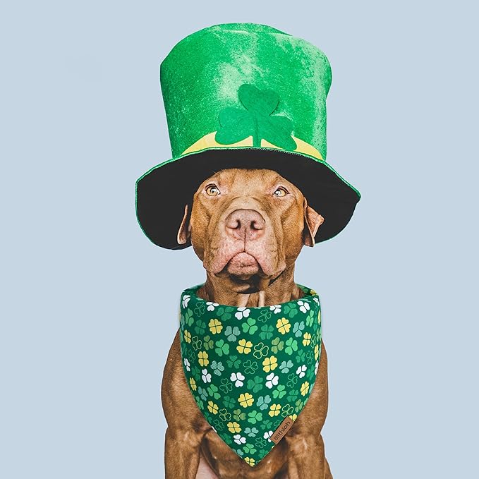 St. Patrick's Day Dog Bandana - 2 Pack Triangle Shamrock Dog Bandanas for Boys & Girls, Reversible Leprechaun Pet Scarf, Premium Durable Fabric, Holiday Bandana for Medium and Large Dogs (Large)