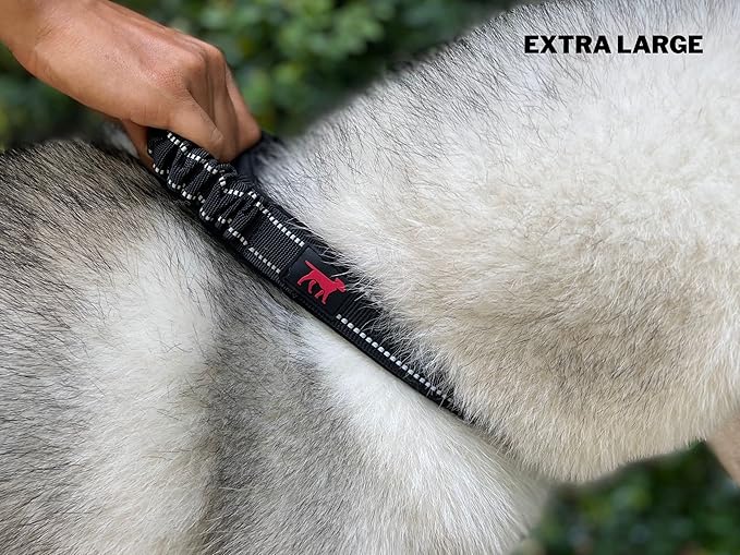Heavy Duty Dog Collar with Handle | Ballistic Nylon Heavy Duty Collar | Padded Reflective Dog Collar with Adjustable Stainless Steel Hardware | Convenient Sizing for All Breeds X-Large (19-23" Neck)