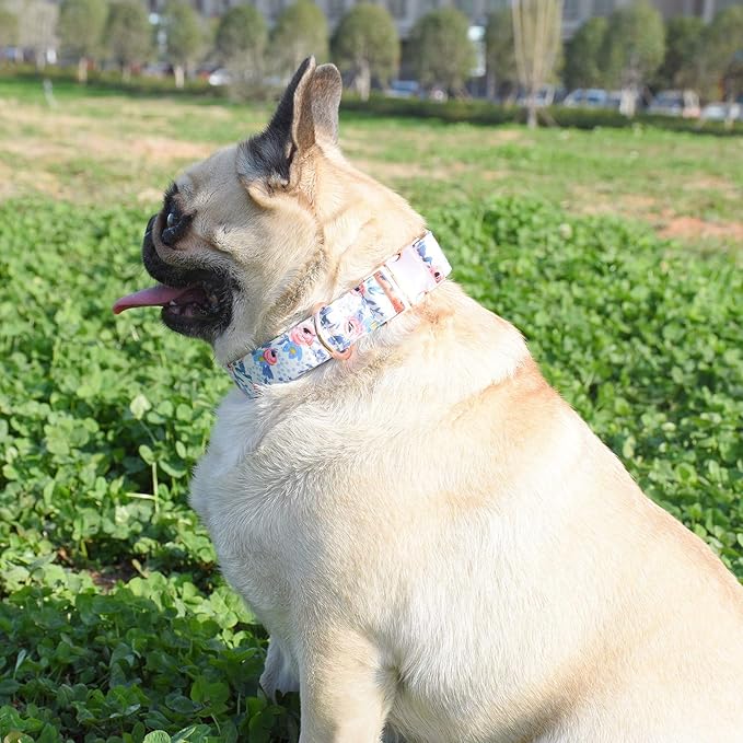 Metal Buckle Dog Collar, Durable Adjustable Dog Collar Soft for Small Medium Large Dogs (M(13-18in), Flower2)