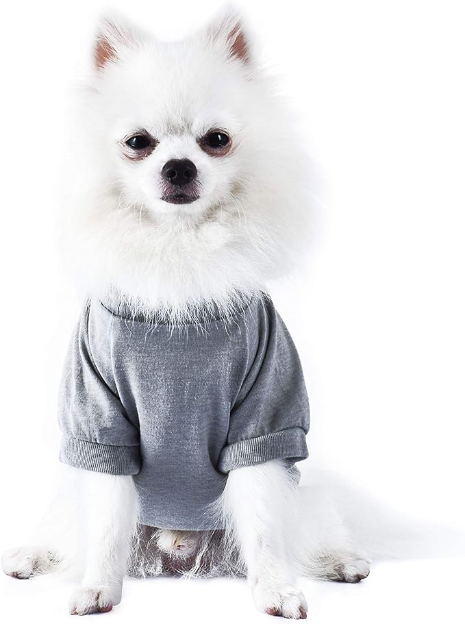 Star Wars for Pets Come to The Fluffy Side Chewbacca Dog Tee | Dog Shirt for Large Dogs | Size X-Large | Soft, Cute, and Comfortable Dog Clothing and Apparel, Cute Dog Clothes