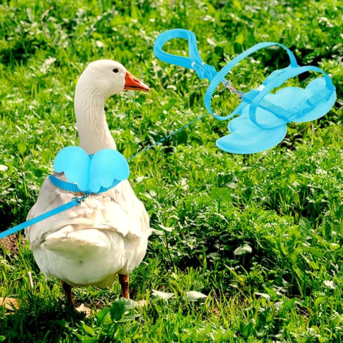KAMA BRIDAL Duck Walking Harness and Leash Chicken Duck Outdoor Training Rope Adjustable Rope for Pet Poultry Hen Cock (M, Blue)