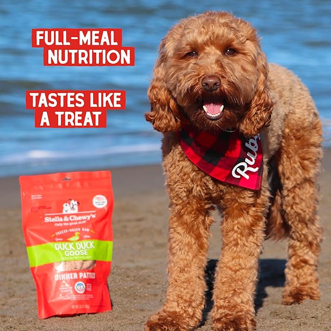 Stella & Chewy's Freeze-Dried Raw Dinner Patties - Duck Duck Goose Recipe - High Protein Grain-Free Puppy & Dog Food - Perfect For Picky Eaters - 5.5 oz