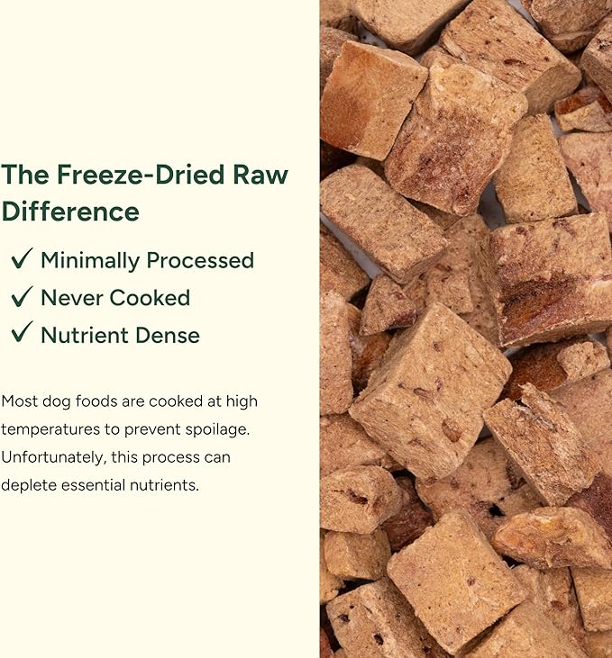 360 Pet Nutrition Freeze-Dried Raw Bison Liver Dog or Cat Treats/Bites, 1-Ingredient, High Protein, No Grain, Made in USA, All-Natural, 4 oz (Bison Liver), Healthy, Training Snacks, Premium Quality.