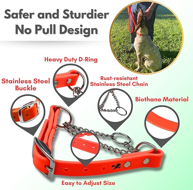 Martingale Collar for Dogs, Biothane, Stainless Steel Hardware, No Pull, Made in The USA, Professional Grade, XS, Orange