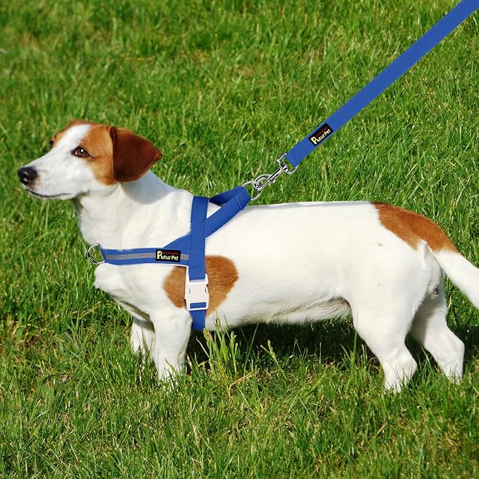 Plutus Pet Cotton Dog Harness and Leash Set, Reflective and Soft Padded, Quick Fit Vest Harness, for Small, Medium and Large Dogs, Royal Blue, XS