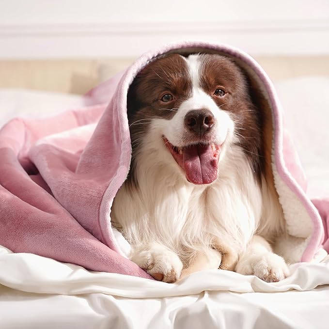 gogobunny Waterproof Bed Blanket, Reversible Sherpa Fleece Throw Blanket for Dog Puppy Cat, Furniture Cover Protects Bed Couch Sofa from Liquid Pee and Pet Fur (Pink, 60x80 inches)