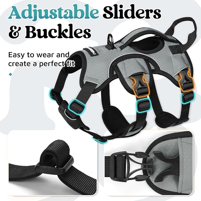 rabbitgoo Escape Proof Dog Harness, Soft Padded Full Body Pet Harness, Reflective Adjustable No Pull Vest with Lift Handle and Leash Clip for Large Dogs Walking Hiking Training, S, Grey