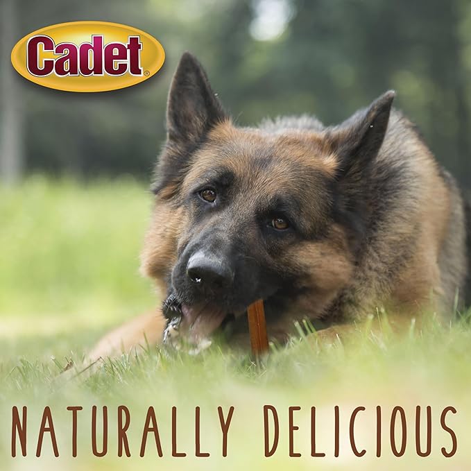 Cadet Bully Sticks for Small Dogs, All-Natural Beef Pizzle, Rawhide-Free Long-Lasting Dog Chews for Aggressive Chewers, 1 Count