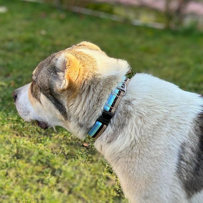 ADITYNA Cotton Dog Collar with AirTag Holder - Heavy-Duty Metal Buckle, Breathable, Easy Adjustable for Large & Extra-Large Breeds - for Walking, Training (Ocean Breeze, Fits 19-30" Necks)