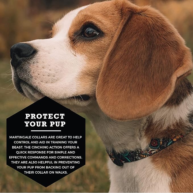 Wolfgang Heavy Duty Martingale Dog Collar with Quick Release Nylon Buckle for Walking & Training, LosMuertos Print, Extra Large
