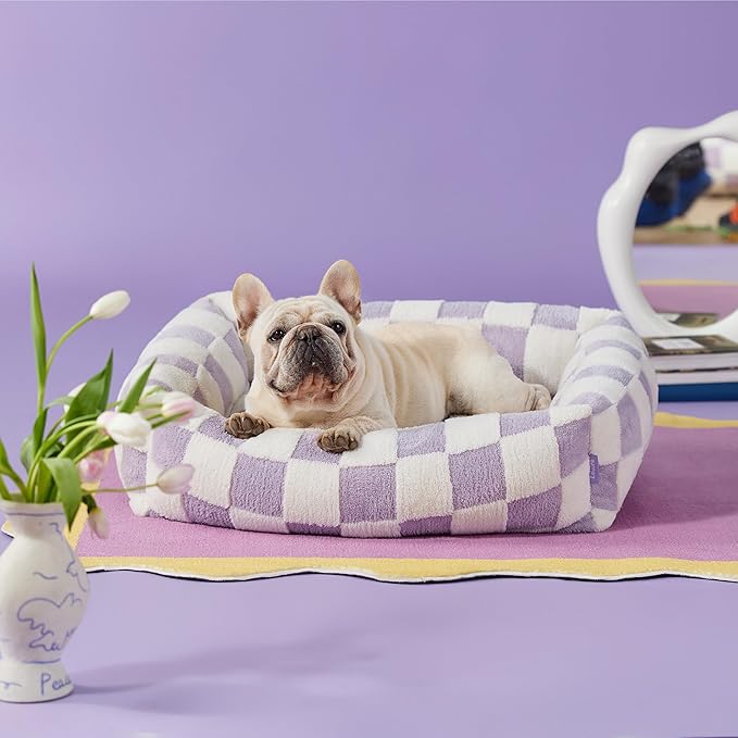 Lesure Cute Dog Bed for Medium Dogs - Washable Pet Beds,Cozy Rectangle Orthopedic Sofa with Jacquard Shaggy Plush & Anti Slip Bottom,30x24x8inches