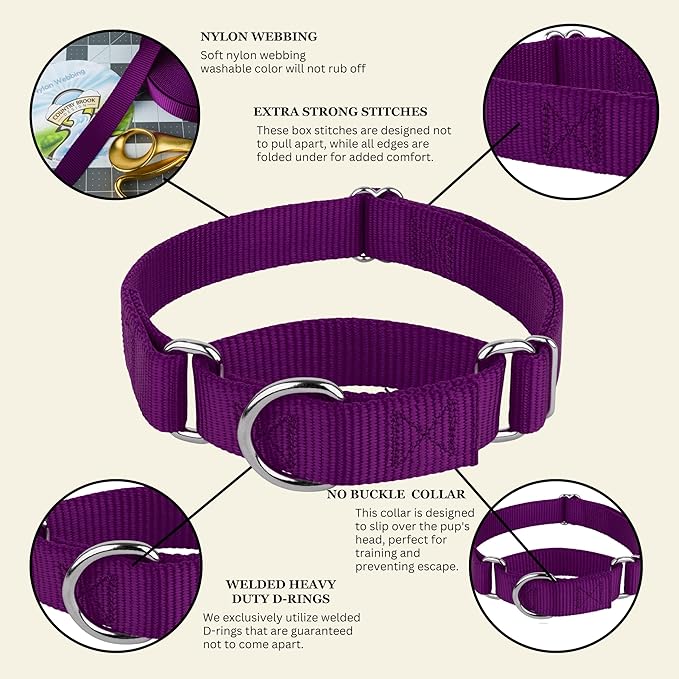Country Brook Petz Martingale Dog Collar - Heavy-Duty Training Collar with No Buckle - Service Dog Collar for All Pups - Vibrant, Colorful Collection (Purple, 3/8 Inch, 3XS)