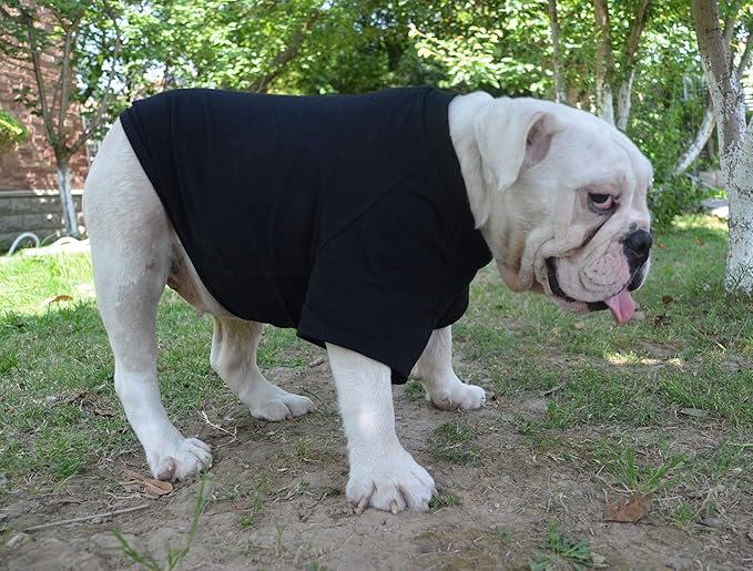 Lovelonglong Bulldog Clothes Dog Clothing Blank T-Shirt Tee Shirts for French Bulldog English Bulldog American Pit Bull Pugs 100% Cotton Skin Care Black B-L
