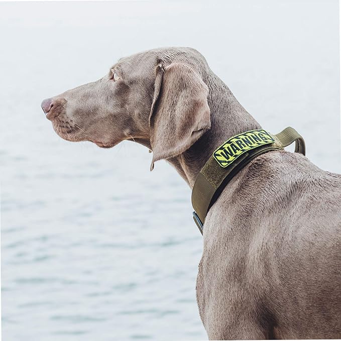 OneTigris Tough Dog Collars, Tactical Dog Collar with Handle, Milltary Adjustable Dog Collar with Heavy Duty Metal Buckle for Training (Medium (Pack of 1), Green)