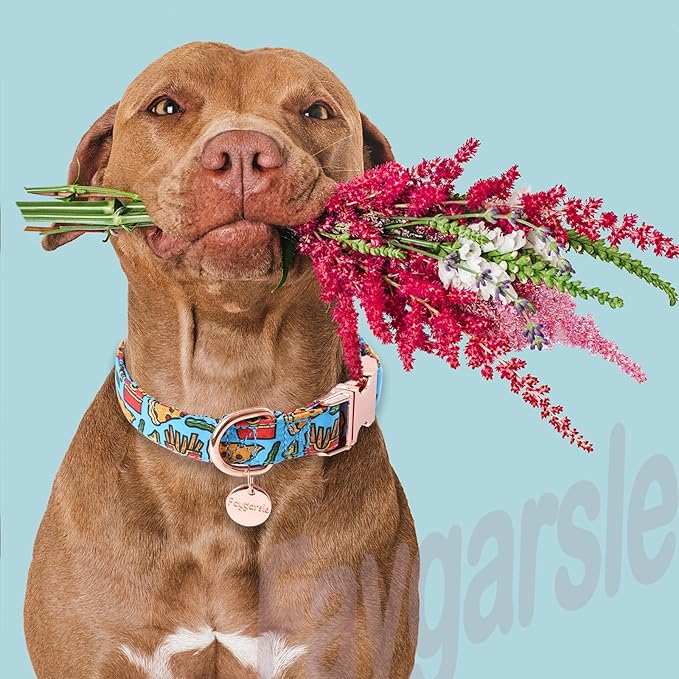 Faygarsle Blue Pizza Pattern Dog Collar for Small Medium Large Dogs Cute Puppy Collars for Female Dogs for Summer Spring Wedding Necklace Girl Dog Collar XS