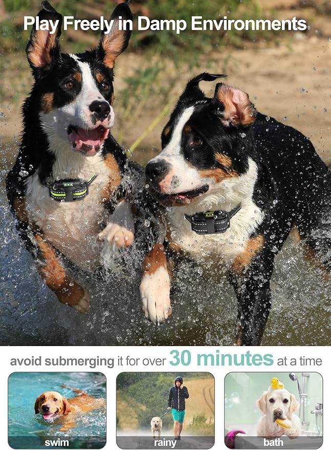 Dog Shock Collar 2 Pack - Dog Training Collar with Remote IP65 Waterproof E Collar for Dogs Training with Shock Vibrate Beep and Light Modes for Small Medium Large Dogs