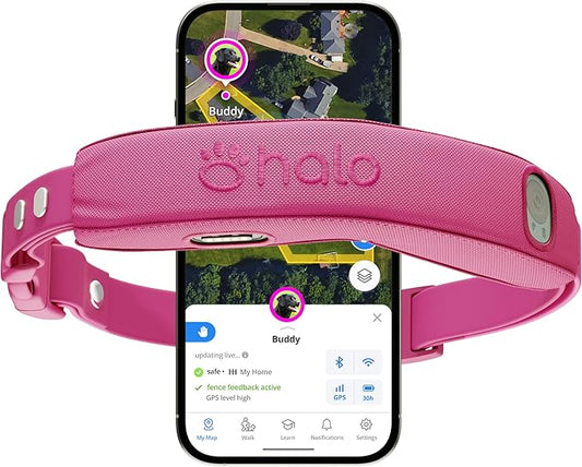 Halo Collar 4, All New GPS Wireless Dog Fence & Dog Training Collar with GPS Tracker, Subscription Required, Waterproof, One Size, Orchid