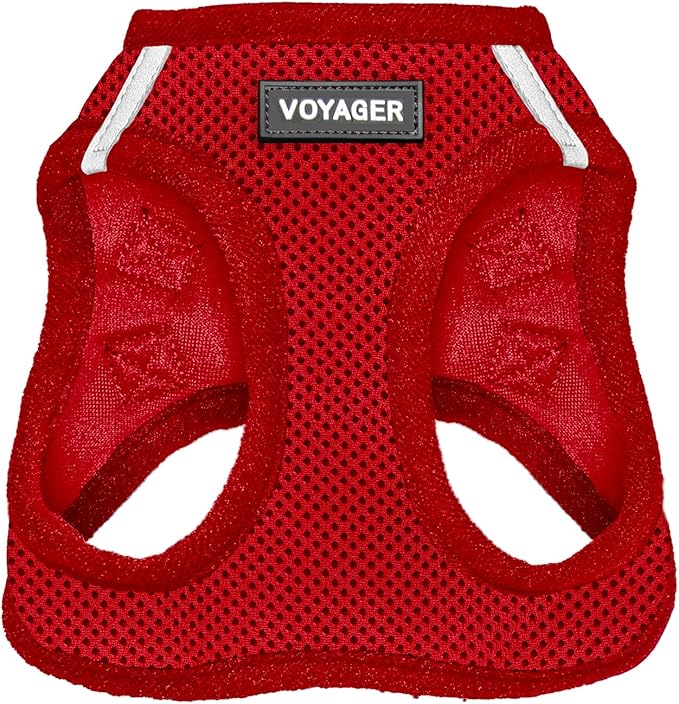 Voyager Step-In Air Dog Harness - All Weather Mesh, Reflective, No Pull Harness for Small, Medium Dogs, Cats - Secure with Hook & Loop Fastener, Buckle, Double D-Rings - Red, XXXS