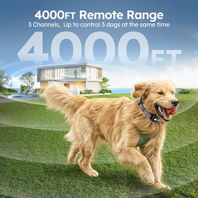 Dog Shock Collar 3 Dogs,4000FT with Flash Light for Night Walks, Dog Training Collar with Remote Control, E Collar with Adjustable Pitch Beep,Vibration and Shock,Rechargeable Waterproof Shock Collar