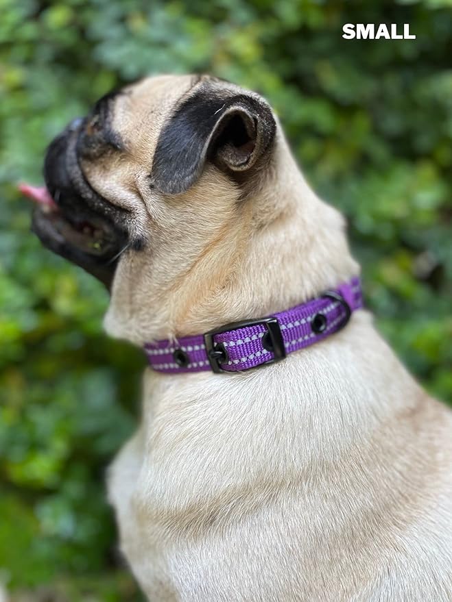 Tuff Pupper Heavy Duty Dog Collar with Handle | Ballistic Nylon Heavy Duty Collar | Padded Reflective Dog Collar with Adjustable Stainless Steel Hardware | Convenient Sizing for All Breeds