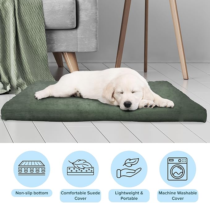 Water-Resistant Dog Bed - Orthopedic Dog Bed with Removable Washable Cover, Non-Slip Bottom, and Egg Crate Style Foam - 25.5in Small Pet Bed - Puppy Essentials by PETMAKER (Green)
