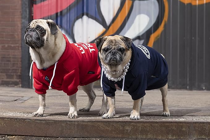 Works for Treats Dog Hoodie from Brass Monkey - Medium (22" Chest), Includes 2 White Drawstrings and Velcro Fasteners, Cute Dog Accessories with Vintage Inspired Designs, Great Gift for Dog Lovers!
