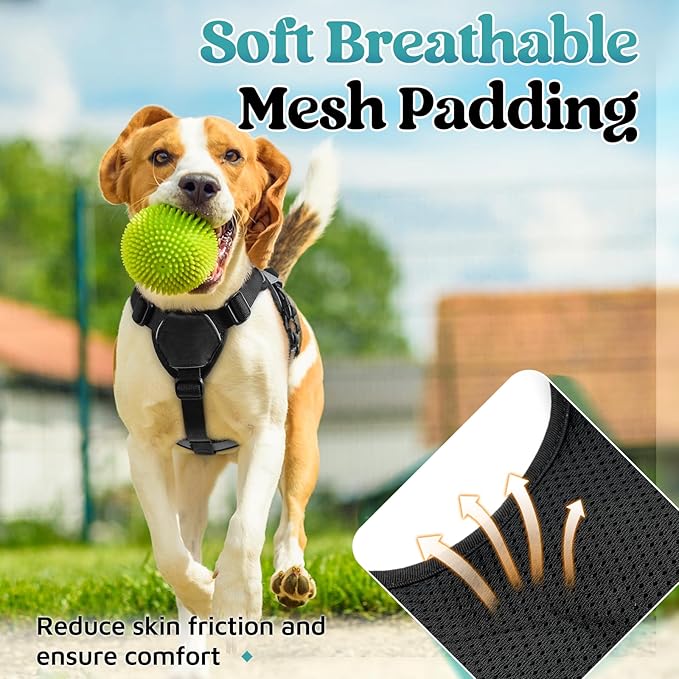 rabbitgoo Escape Proof Dog Harness, Soft Padded Full Body Pet Harness, Reflective Adjustable No Pull Vest with Lift Handle and Leash Clip for Large Dogs Walking Hiking Training, S, Grey