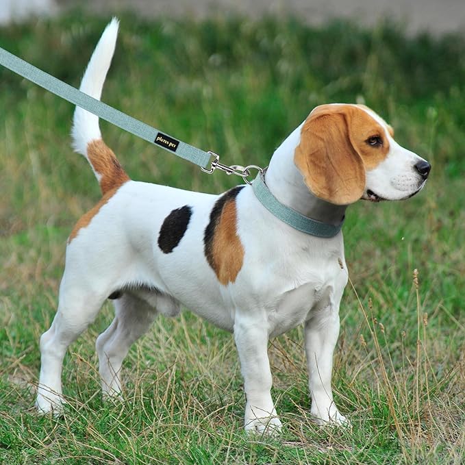 Plutus Pet Cotton Hemp Dog Collar and Leash Set, Adjustable Collar for Small, Medium, and Large Dogs, Heavy Duty and Soft on Skin, Light Blue, M