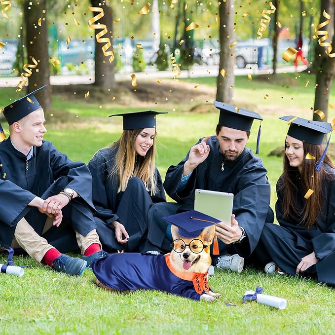 5 Pcs Dog Graduation Costume Set Include 2025 Pet Graduation Gown with Stole Puppy Grad Cap Lensless Glasses DIY Letter Stickers for Dogs Cats Holiday Costume Accessory(Blue Orange,M)