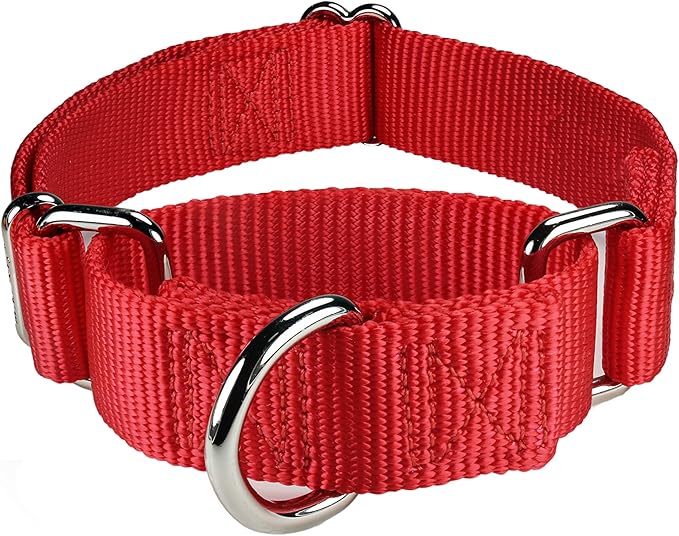 Mikivery Martingale Dog Collar Nylon Adjustable and Safety Training Colourful Comfortable Metal Buckle Pet Collars for Small Medium and Large Dogs(Red,M)
