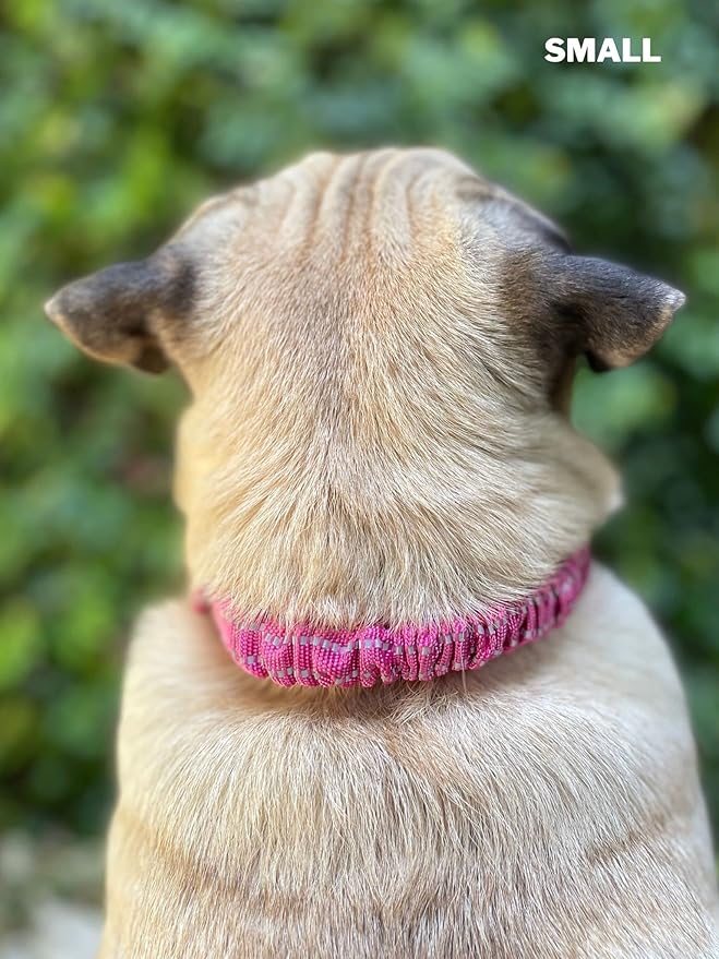 Heavy Duty Dog Collar with Handle | Ballistic Nylon Heavy Duty Collar | Padded Reflective Dog Collar with Adjustable Stainless Steel Hardware | Convenient Sizing for All Breeds