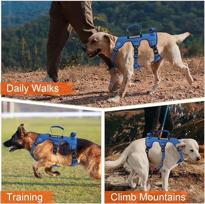 Escape Proof Dog Harness for Large Medium Sized Dogs Six Point Adjustable, Service Dog Vest Harness and Leash Set, No Pull Dogs Harnesses with Handle, Medium Dog Harnesses for Walking(Blue, S)