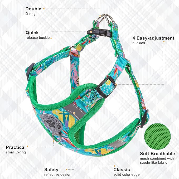 BEAUTYZOO Step in Dog Harness Collar and Leash Set for Small Medium Large Dogs, No Pull No Choke Puppy Harness, Soft Mesh Reflective Pet Padded Vest Adjustable for Doggie Girl or Boy,Chihuahua, Yorkie